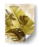 Palm Frondas I - Rachel Perry | Cuadro decorativo de Canvas Lab