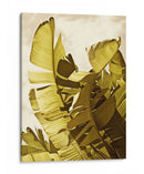 Palm Fronds Ii - Rachel Perry | Cuadro decorativo de Canvas Lab