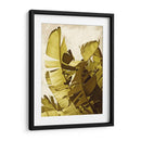 Palm Fronds Ii - Rachel Perry | Cuadro decorativo de Canvas Lab