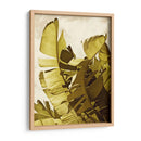 Palm Fronds Ii - Rachel Perry | Cuadro decorativo de Canvas Lab
