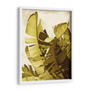 Palm Fronds Ii - Rachel Perry | Cuadro decorativo de Canvas Lab
