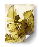 Palm Fronds Ii - Rachel Perry | Cuadro decorativo de Canvas Lab