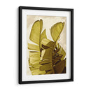 Palm Fronds Iii - Rachel Perry | Cuadro decorativo de Canvas Lab
