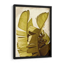 Palm Fronds Iii - Rachel Perry | Cuadro decorativo de Canvas Lab