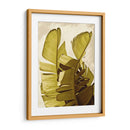 Palm Fronds Iii - Rachel Perry | Cuadro decorativo de Canvas Lab