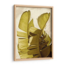 Palm Fronds Iii - Rachel Perry | Cuadro decorativo de Canvas Lab