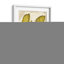 Palm Fronds Iii - Rachel Perry | Cuadro decorativo de Canvas Lab