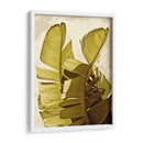 Palm Fronds Iii - Rachel Perry | Cuadro decorativo de Canvas Lab