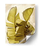 Palm Fronds Iii - Rachel Perry | Cuadro decorativo de Canvas Lab