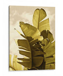 Palm Fronds Iv - Rachel Perry | Cuadro decorativo de Canvas Lab