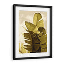 Palm Fronds Iv - Rachel Perry | Cuadro decorativo de Canvas Lab