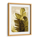 Palm Fronds Iv - Rachel Perry | Cuadro decorativo de Canvas Lab