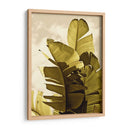 Palm Fronds Iv - Rachel Perry | Cuadro decorativo de Canvas Lab