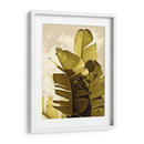 Palm Fronds Iv - Rachel Perry | Cuadro decorativo de Canvas Lab