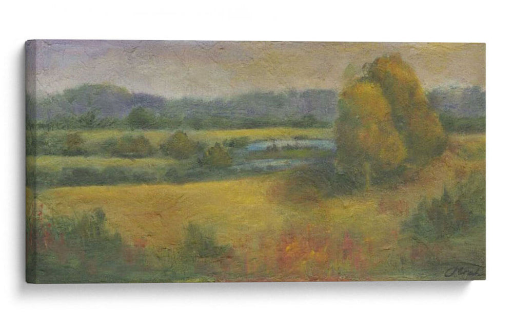 El Dorado Lake Ii - Joyce Combs | Cuadro decorativo de Canvas Lab