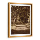 Carretera A St. Remy - Rachel Perry | Cuadro decorativo de Canvas Lab
