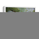 Nota De Gracia - Julie T. Chapman | Cuadro decorativo de Canvas Lab