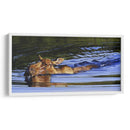 Bañera - Julie T. Chapman | Cuadro decorativo de Canvas Lab