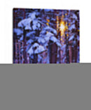 Fuego Frío - Julie T. Chapman | Cuadro decorativo de Canvas Lab