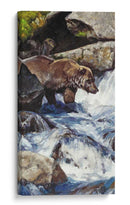 Salmón Zen - Julie T. Chapman | Cuadro decorativo de Canvas Lab