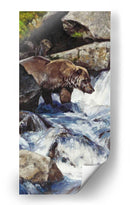 Salmón Zen - Julie T. Chapman | Cuadro decorativo de Canvas Lab