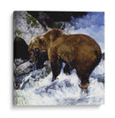 Cascade Katmai - Julie T. Chapman | Cuadro decorativo de Canvas Lab