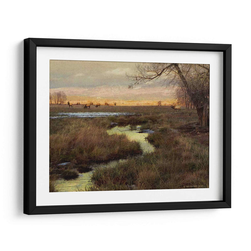 Elk Y Creek - Chris Vest | Cuadro decorativo de Canvas Lab