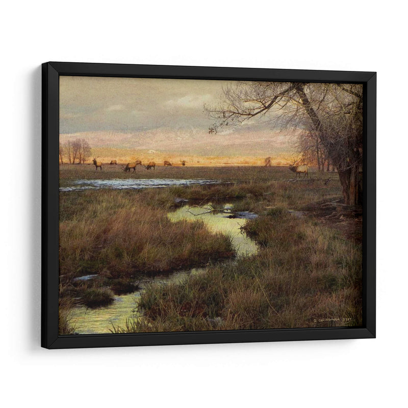 Elk Y Creek - Chris Vest | Cuadro decorativo de Canvas Lab