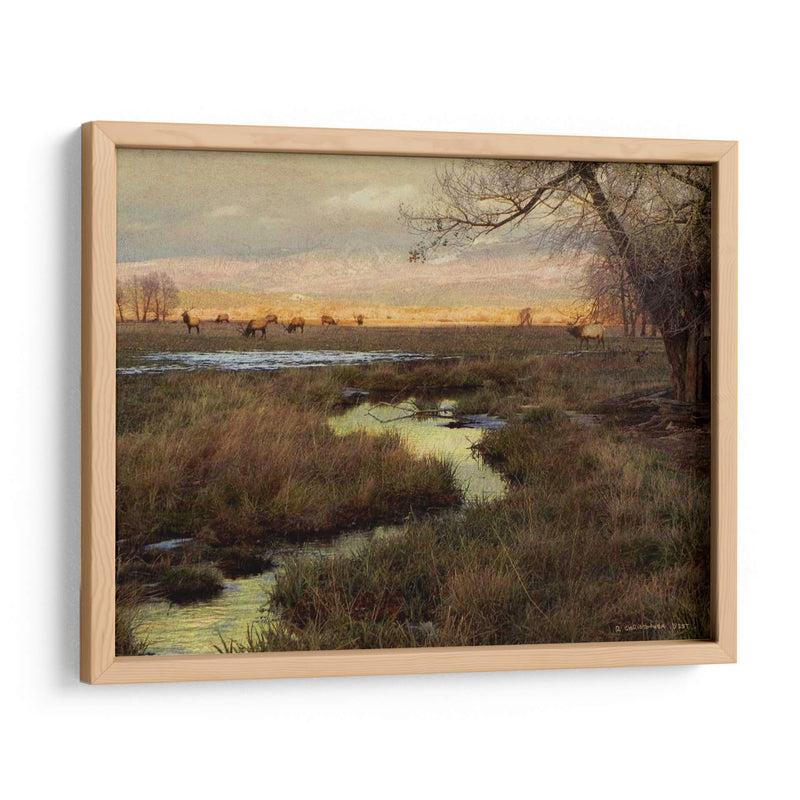 Elk Y Creek - Chris Vest | Cuadro decorativo de Canvas Lab