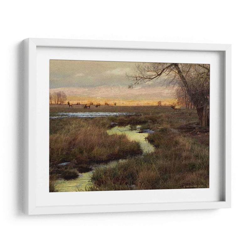 Elk Y Creek - Chris Vest | Cuadro decorativo de Canvas Lab