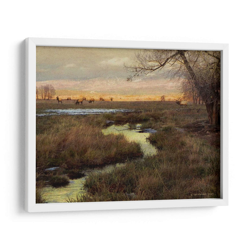 Elk Y Creek - Chris Vest | Cuadro decorativo de Canvas Lab