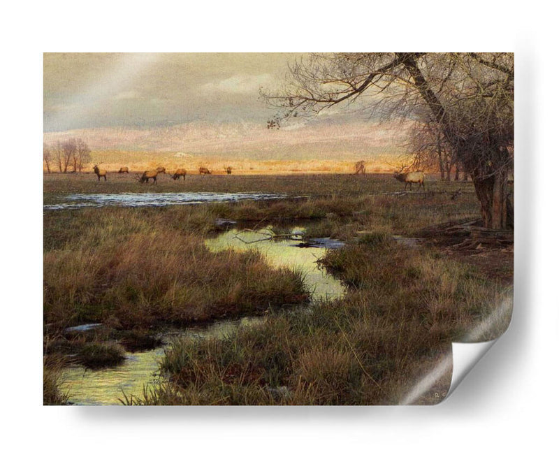 Elk Y Creek - Chris Vest | Cuadro decorativo de Canvas Lab