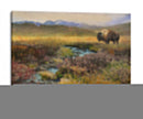 Bison Y Creek - Chris Vest | Cuadro decorativo de Canvas Lab