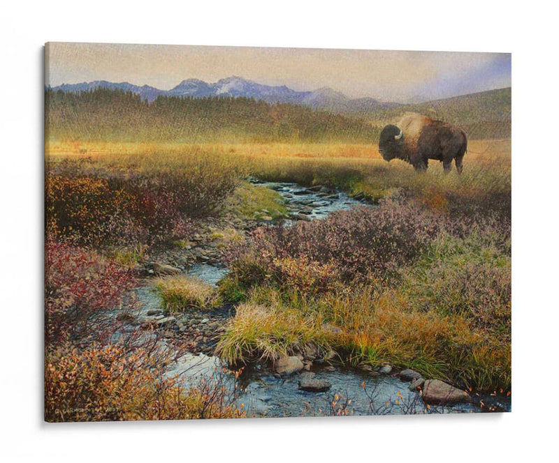 Bison Y Creek - Chris Vest | Cuadro decorativo de Canvas Lab