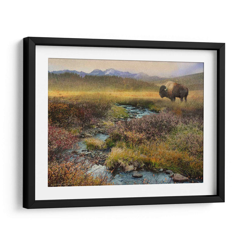 Bison Y Creek - Chris Vest | Cuadro decorativo de Canvas Lab