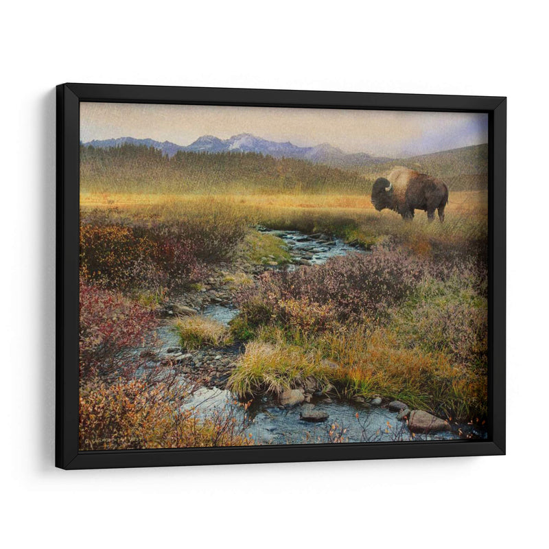 Bison Y Creek - Chris Vest | Cuadro decorativo de Canvas Lab