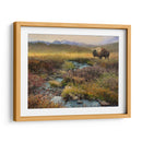 Bison Y Creek - Chris Vest | Cuadro decorativo de Canvas Lab