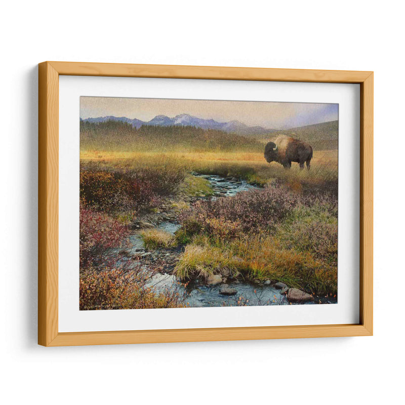 Bison Y Creek - Chris Vest | Cuadro decorativo de Canvas Lab