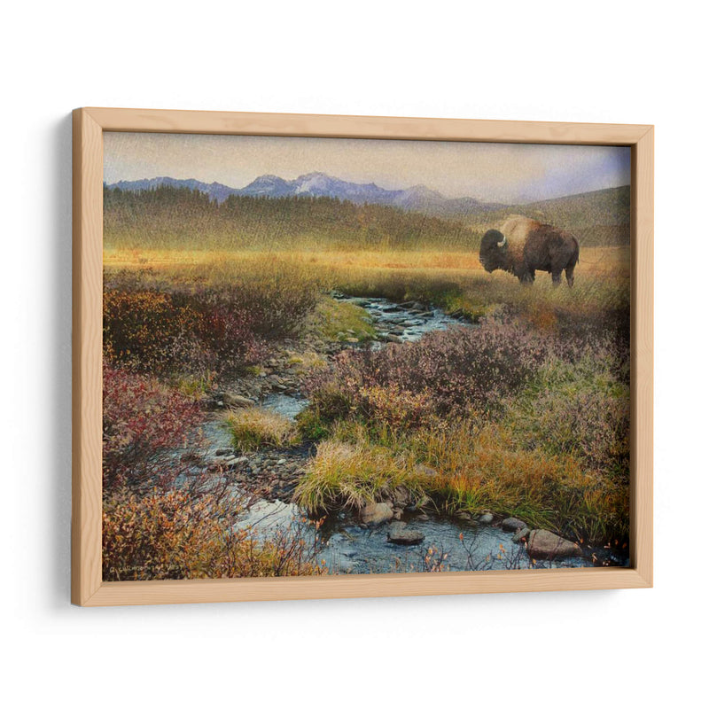 Bison Y Creek - Chris Vest | Cuadro decorativo de Canvas Lab