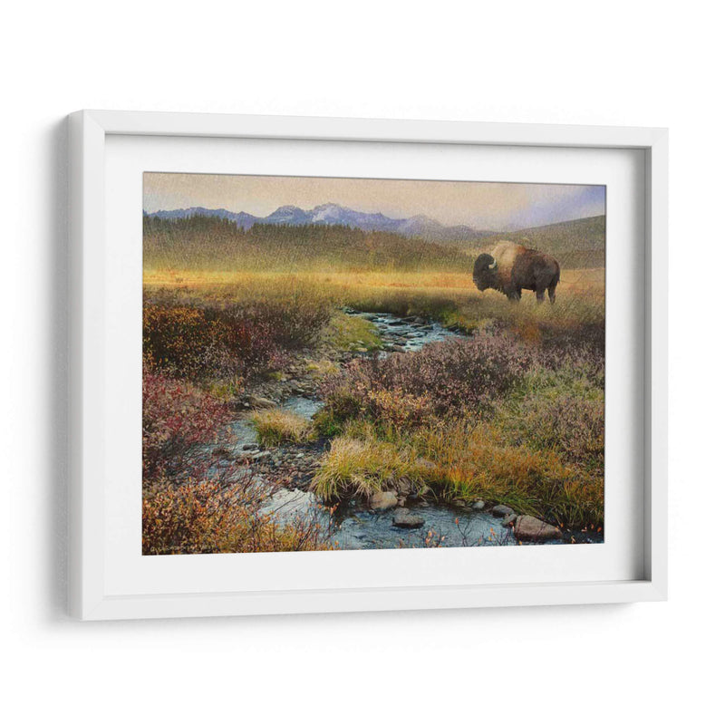 Bison Y Creek - Chris Vest | Cuadro decorativo de Canvas Lab