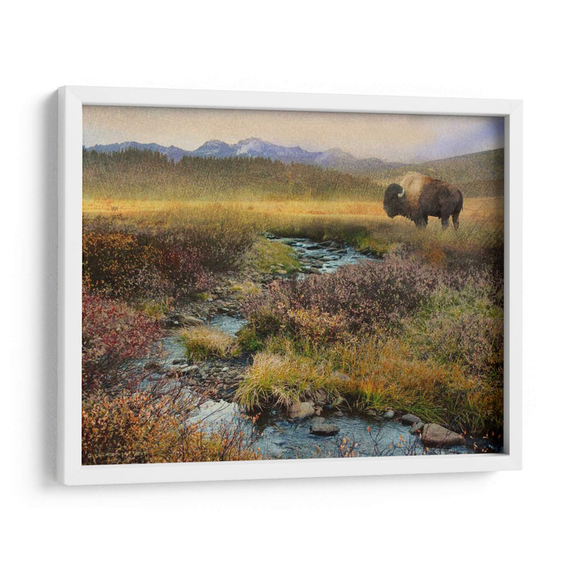 Bison Y Creek - Chris Vest | Cuadro decorativo de Canvas Lab