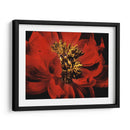 Peonía Roja Ii - Christine Zalewski | Cuadro decorativo de Canvas Lab