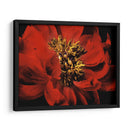 Peonía Roja Ii - Christine Zalewski | Cuadro decorativo de Canvas Lab