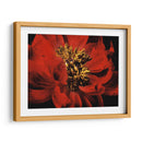 Peonía Roja Ii - Christine Zalewski | Cuadro decorativo de Canvas Lab