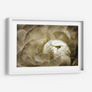 Elegante Peonía Ii - Christine Zalewski | Cuadro decorativo de Canvas Lab