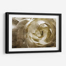 Elegante Peonía Iii - Christine Zalewski | Cuadro decorativo de Canvas Lab