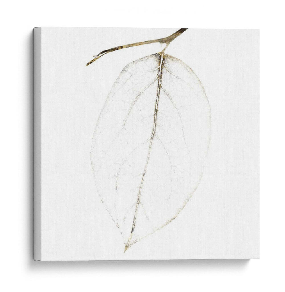 Otoño Hojas Iii - Christine Zalewski | Cuadro decorativo de Canvas Lab