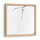 Otoño Hojas Iii - Christine Zalewski | Cuadro decorativo de Canvas Lab