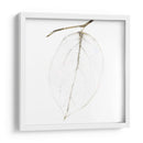 Otoño Hojas Iii - Christine Zalewski | Cuadro decorativo de Canvas Lab