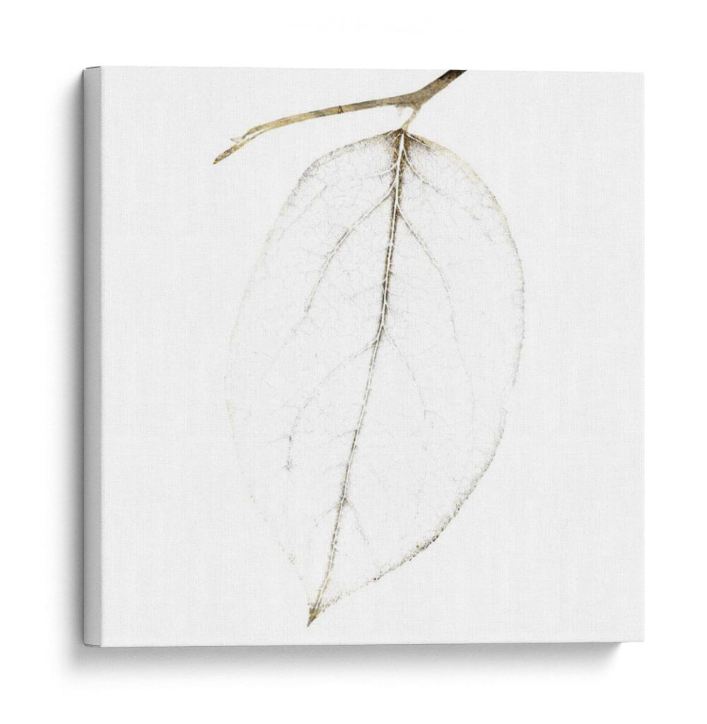 Hojas De Otoño Iv - Christine Zalewski | Cuadro decorativo de Canvas Lab